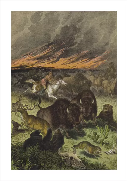 Animals of the North American prairies (colour litho)