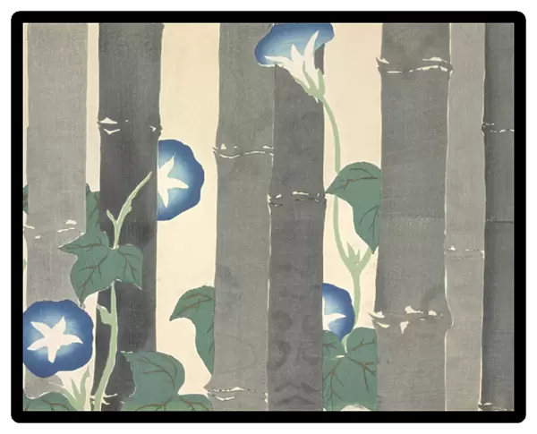 Asagao, fromaMomoyo-gusa (The World of Things) Vol I, pub. 1909 (colour block woodcut)