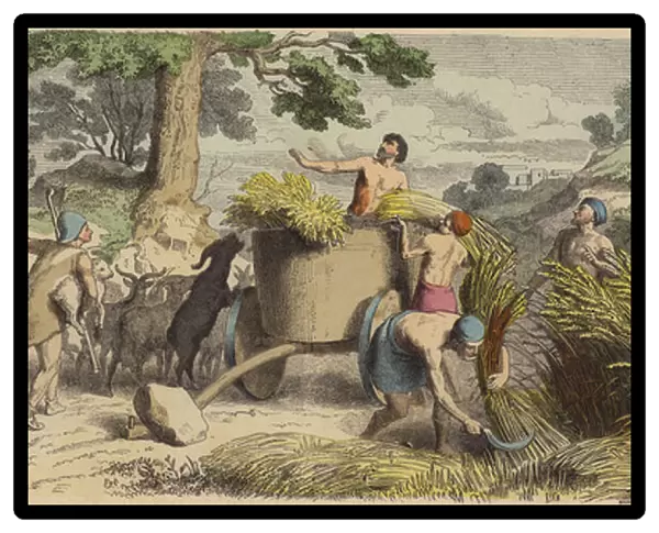 Rural life in Ancient Greece (coloured engraving)