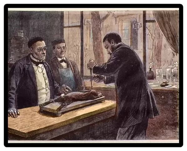 Louis Pasteur (1822-1895), French chemist and microbiologist