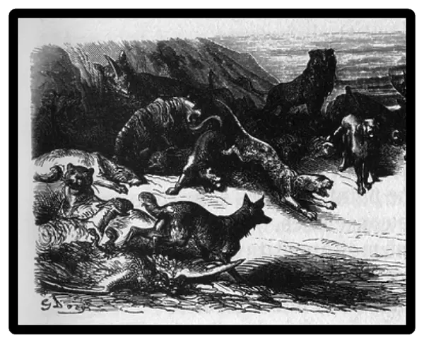 Animals sick of the Plague. Fables by Jean de La Fontaine (1621-95)