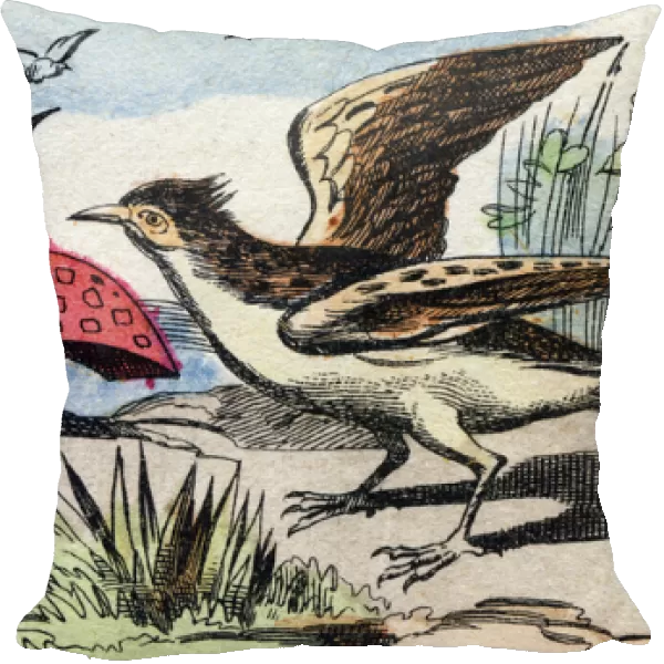 The lark. Engraving in 'Buffon Alphabet des Oiseaux n 2'. 3rd Serie N 2