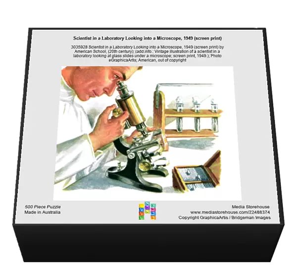 Scientist in a Laboratory Looking into a Microscope, 1949 (screen print)