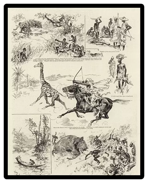 Sport on the upper reaches of the River Niger (litho)