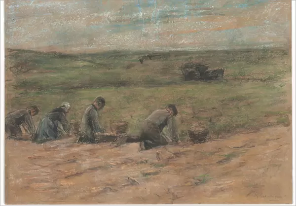 Kartoffelgraber bei Zandvoort, 1894 (pastel & white chalk on board)