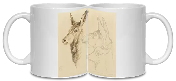 Fac-simile of a Drawing by Sir E Landseer, RA (colour litho)