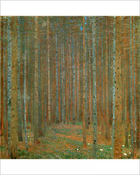 Fir Forest I - Klimt, Gustav (1862-1918) - 1901 - Oil on canvas - 90x90 - Kunsthaus Zug