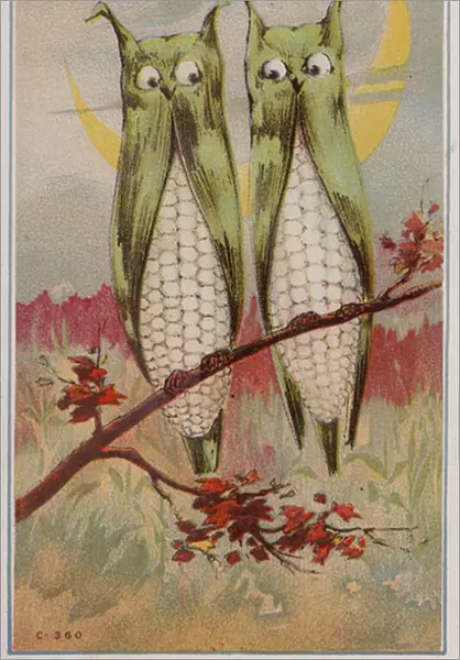 Ears of corn as owls (colour litho)