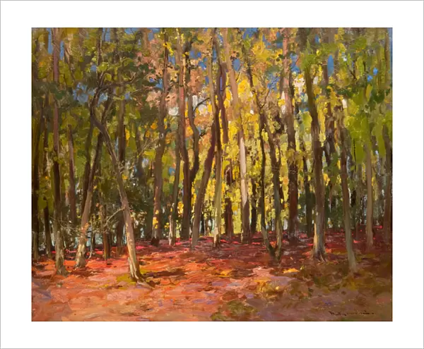 The Witches Wood, 1917 (oil on canvas)