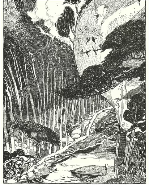 The Dim Forest (engraving)