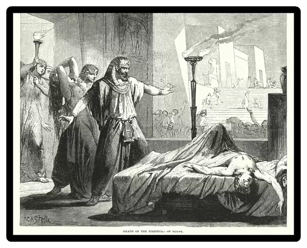Death of the Firstborn of Egypt (engraving)