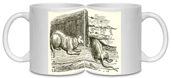 The Mouse and the Weasel (engraving)