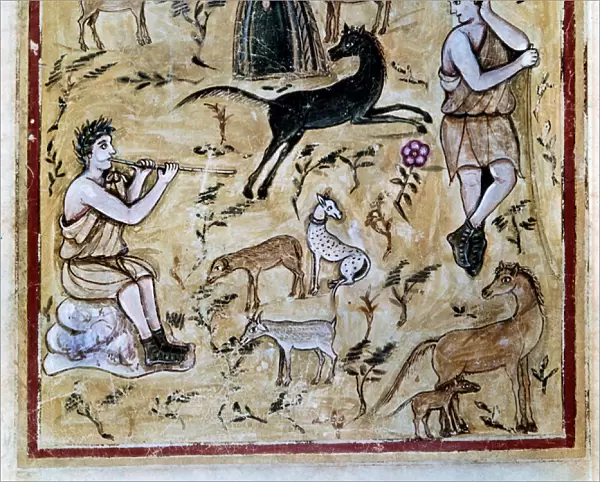 Shepherds with their Flocks, illustration from the Codex Vergilius Romanus (vellum)