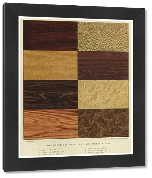 Types of exotic wood used in cabinet making (colour litho)