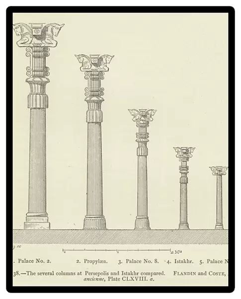The several columns at Persepolis and Istakhr compared (engraving)