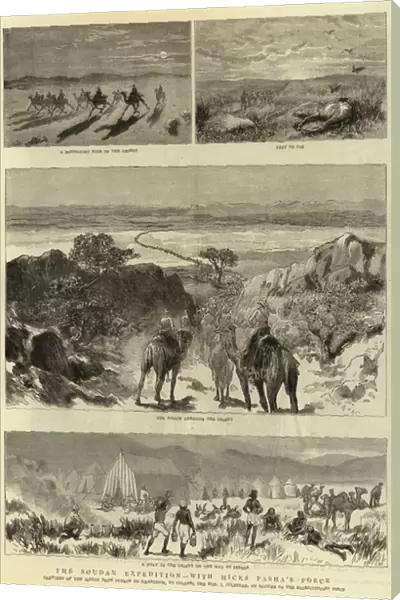 The Soudan Expedition, with Hicks Pasha a Force (engraving)