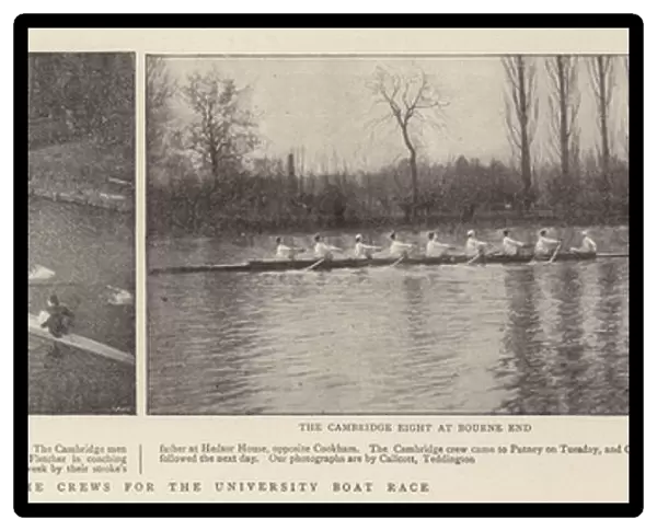 The Practice of the Crews for the University Boat Race (b  /  w photo)