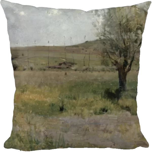 Summer landscape (oil on canvas)