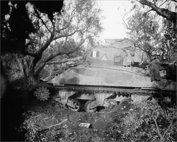 2Tp tank blown on minefield, c. 1944 (b  /  w photo)