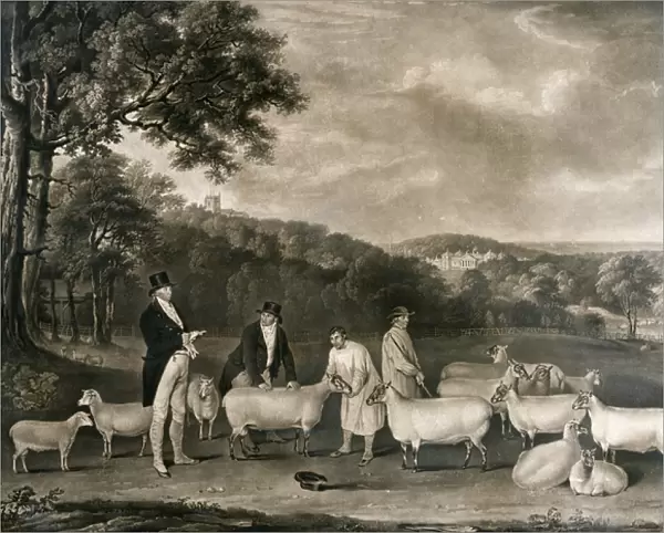 Portrait of Thomas William Coke, Esq. (1752-1842) inspecting some of his South Down sheep