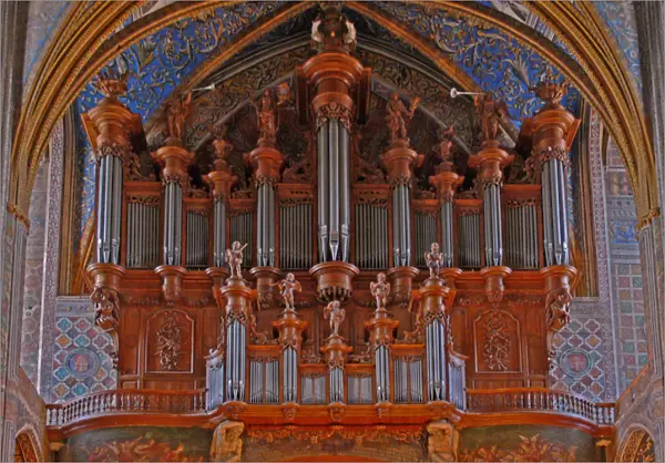 Depicting the organ