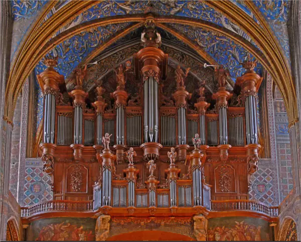 Depicting the organ