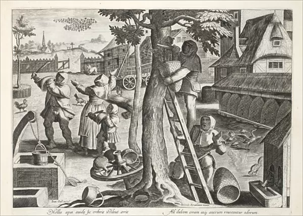 Beekeepers, plate 83, illustration from Venationes, Ferarum, Avium