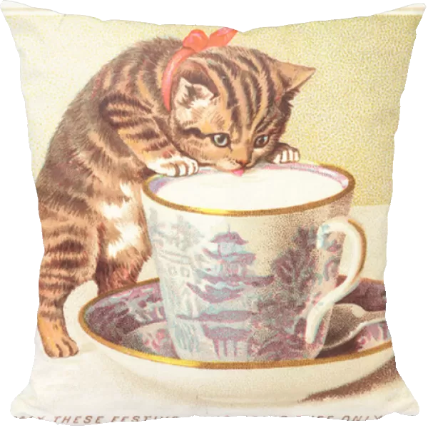 Kitten drinking out of tea-cup, Christmas Card (chromolitho)