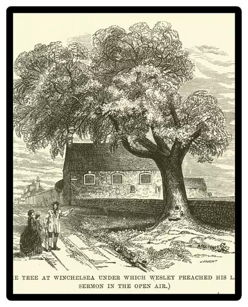 The tree at Winchelsea under which Wesley preached his last sermon in the open air (engraving)