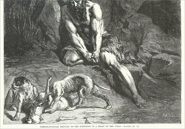 Nebuchadnezzar reduced to the Condition of a Beast of the Field, Daniel IV, 33 (engraving)