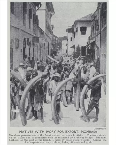 Natives with ivory for export, Mombasa (b  /  w photo)