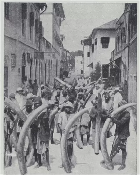 Natives with ivory for export, Mombasa (b  /  w photo)