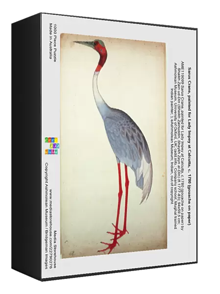 Sarus Crane, painted for Lady Impey at Calcutta, c. 1780 (gouache on paper)