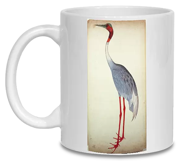 Sarus Crane, painted for Lady Impey at Calcutta, c. 1780 (gouache on paper)