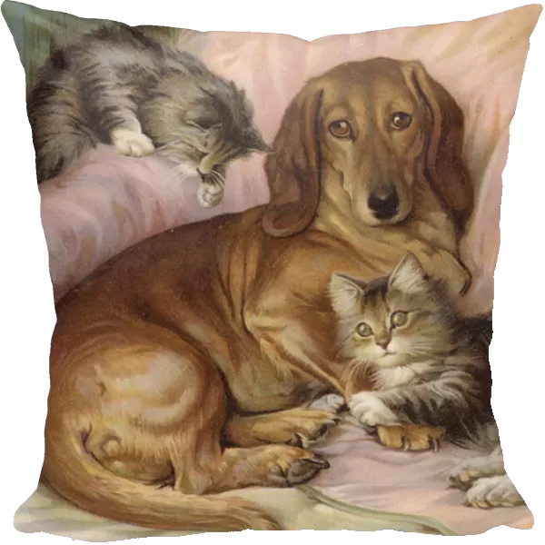 Playmates - dog and two cats, sitting on a sofa (colour litho)