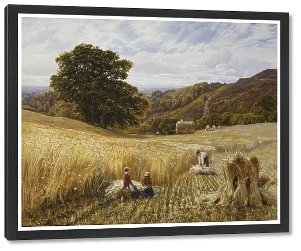 Harvest Time Near Holmbury Hill, Surrey, 1865 (watercolour heightened with white