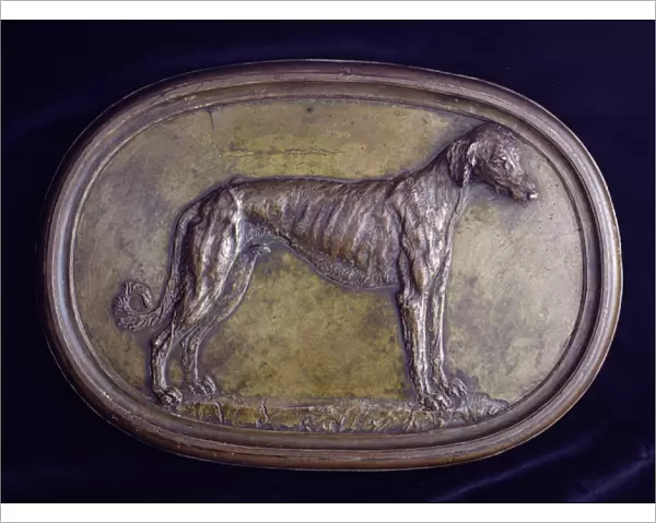 Relief of a Greyhound (bronze)