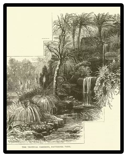 The Tropical Gardens, Battersea Park (engraving)