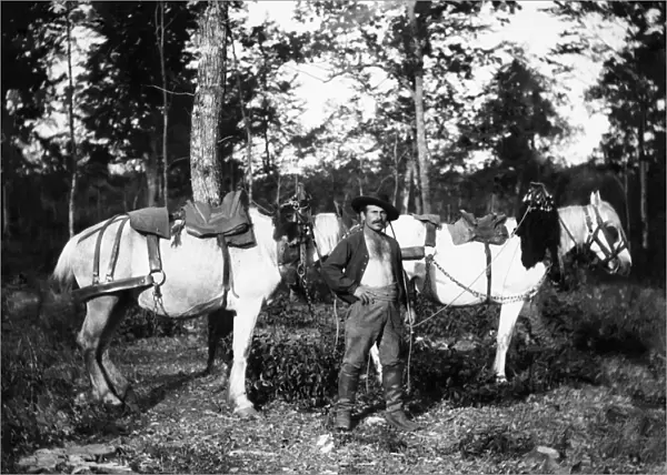 Bucheron with his horses, in the vicinity of Bourmont in Haute-Marne (Haute Marne)