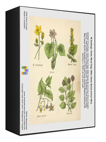 W Saxifrage, Violet, Wood Sage, Bitter Sweet, Burnet (colour litho)