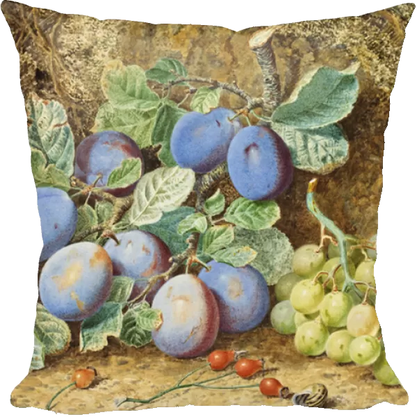 Plums and Grapes, 1877 (w  /  c on paper)