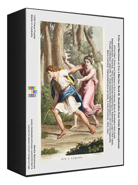 Echo and Narcissus or Eco e Narciso, Book III, illustration from Ovids Metamorphoses