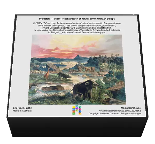 Prehistory - Tertiary - reconstruction of natural environment in Europe
