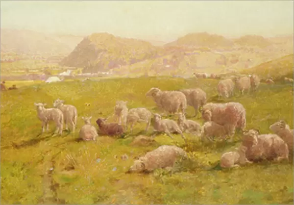 The Vale of Towy, 1873 (oil on panel)