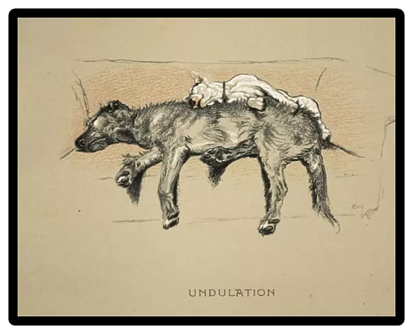 Undulation, 1930, 1st Edition of Sleeping Partners, Aldin