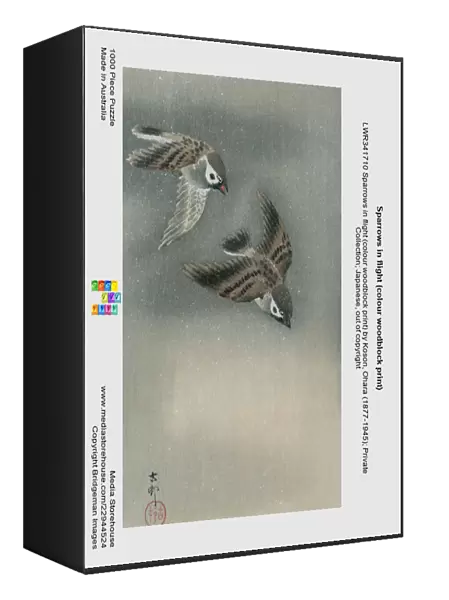 Sparrows in flight (colour woodblock print)