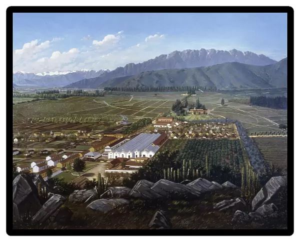 The Vineyard of Erranzuriz-Panquehue, Chile, 1896 (oil on canvas)