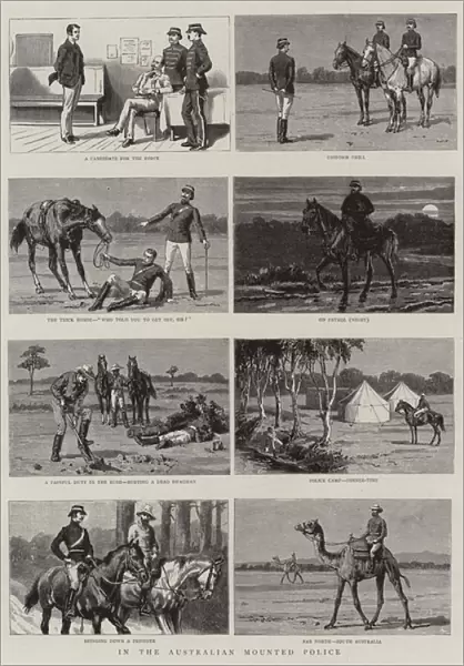 In the Australian Mounted Police (engraving)