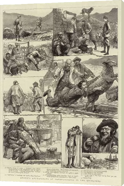Browns Experiences of Sheep-Farming in the Highlands (engraving)