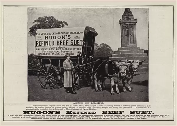 Advertisement, Hugons Refined Beef Suet (engraving)